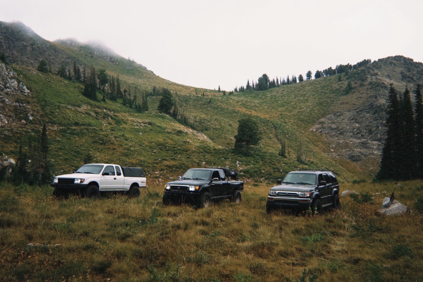 Three Toyota trucks parked in a mountain meadow